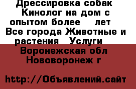 Дрессировка собак (Кинолог на дом с опытом более 10 лет) - Все города Животные и растения » Услуги   . Воронежская обл.,Нововоронеж г.